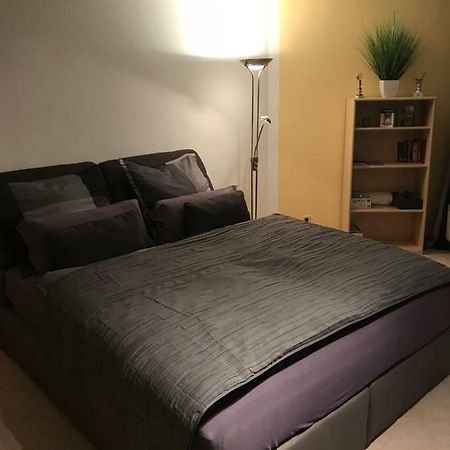 Kleine Wohnung Im Gruenen Dresden Ngoại thất bức ảnh
