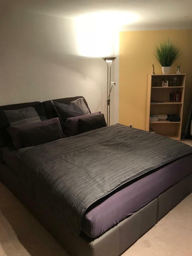 Kleine Wohnung Im Gruenen Dresden Ngoại thất bức ảnh