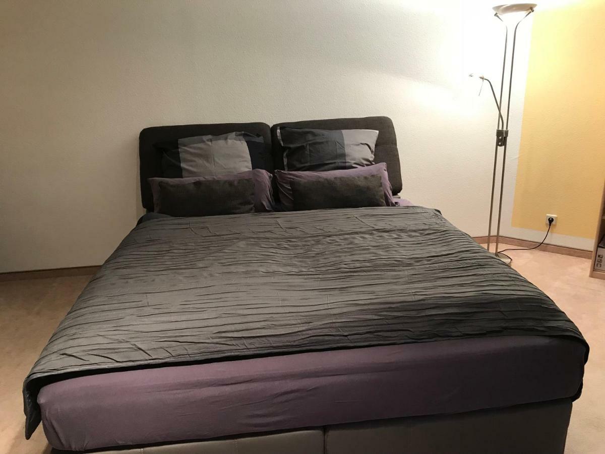 Kleine Wohnung Im Gruenen Dresden Ngoại thất bức ảnh