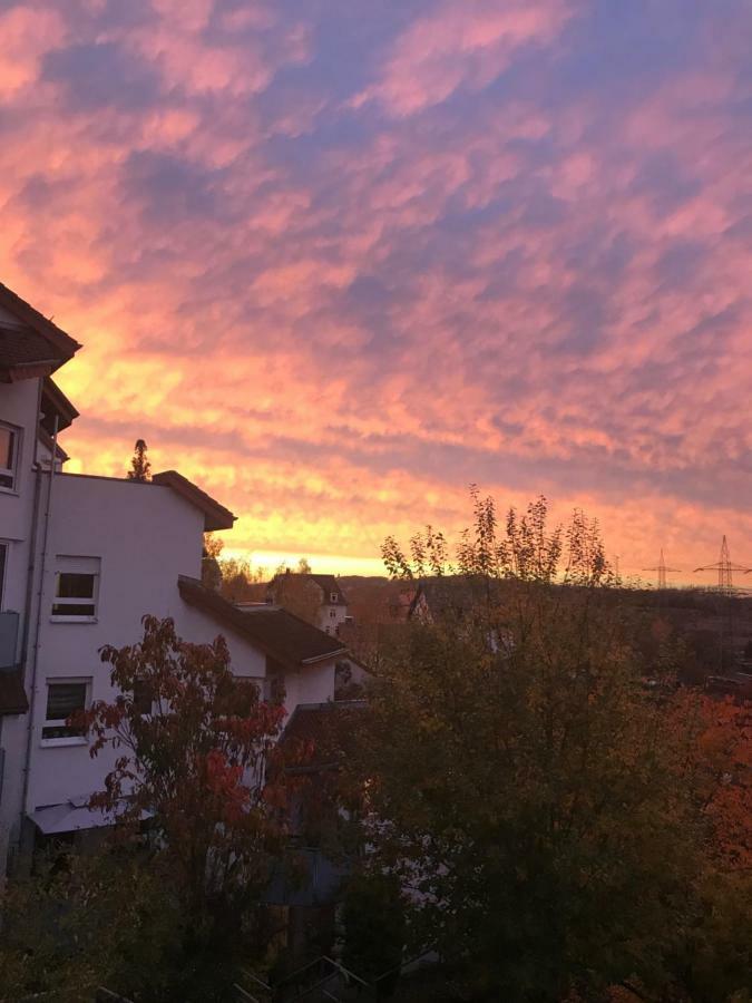 Kleine Wohnung Im Gruenen Dresden Ngoại thất bức ảnh